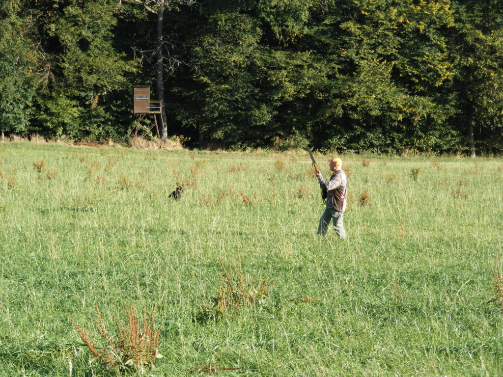 Thomas Vieth mit Pudelpointer Darsy vom Hengelerveld, Schußfestigkeit Foto: Barbara Bendrich