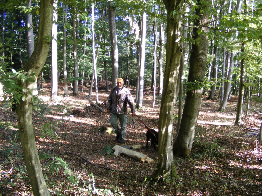 Thomas Vieth mit Pudelpointer Darsy vom Hengelerveld, Leinenführigkeit Foto: Barbara Bendrich