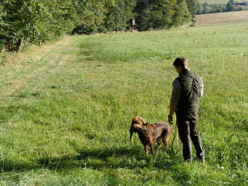 Steffen Faupel mit Pudelpointer Nino vom Unstrut Hainich, Nachsuche auf Niederwild ohne Leistungsnachweis Wasser Foto: Barbara Hendrich