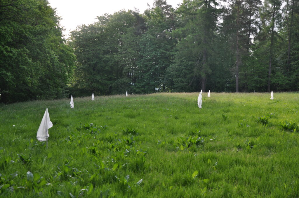 Um in der Nacht vor der Mahd für Unruhe in der Wiese zu sorgen, eignen sich Windrädchen, Rascheltüten und Flatterbänder. Mütter und ihre Jungen lieben die Ruhe und so werden Hasen und Ricken mit hoher Wahrscheinlichkeit nachts ihre Kleinen aus einer Wiese führen, in der es quietscht und raschelt. Das Foto zeigt ein Beispiel für vorbildliche Vergrämungsmaßnahmen von Landwirt Martin Witzel im Mai 2022 (Haunetal-Wehrda), Foto: Matthias Bender